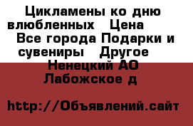 Цикламены ко дню влюбленных › Цена ­ 180 - Все города Подарки и сувениры » Другое   . Ненецкий АО,Лабожское д.
